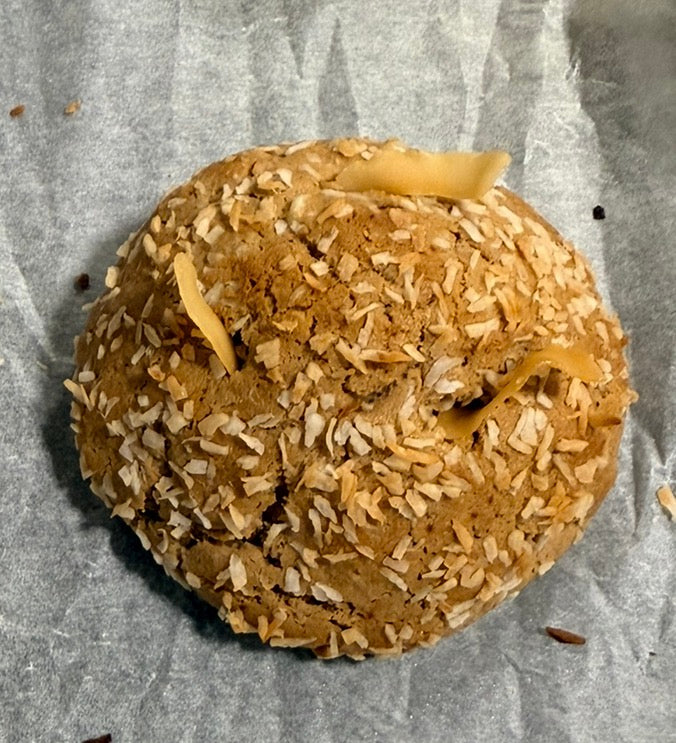 Coconut Protein Cookie